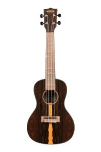 UKELELE KALA CONCIERTO DE ZIRICOTE
