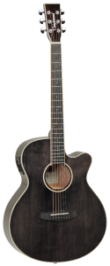 GUITARRA ACÚSTICA TANGLEWOOD MINI JUMBO TW4BS