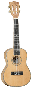 UKELELE CONCIERTO TANGLEWOOD TWT11