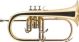 FLISCORNO J. MICHAEL EN SIB FG500 